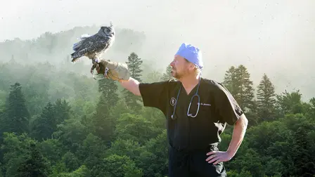 O Exótico Dr. Ole