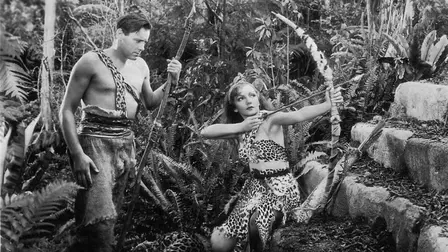 Náufragos en la jungla