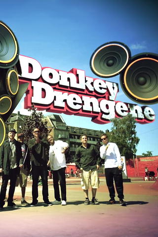 Donkey drengene