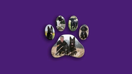 Dog Detectives