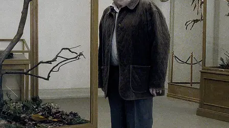 A Pigeon Sat on a Branch Reflecting on Existence