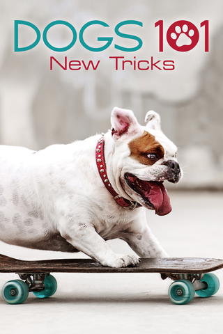 Dogs 101: New Tricks