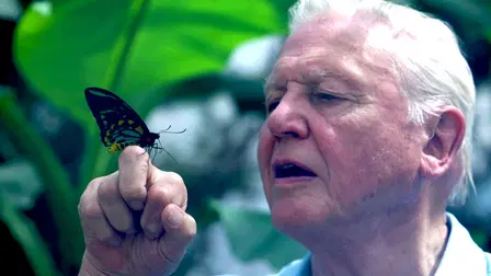 Attenborough's Ark