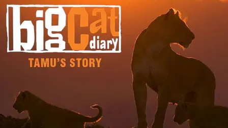 Big Cat Diary