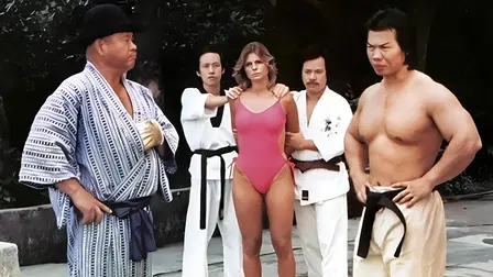 The Ninja Strikes Back