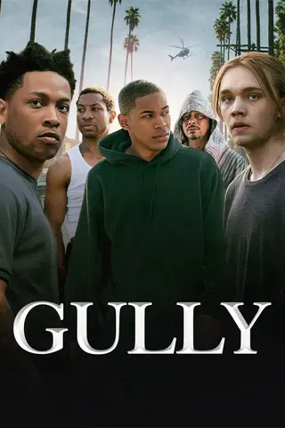 Gully