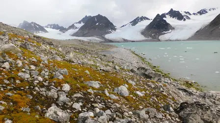 Greenland: Survival At The Edge Of The World