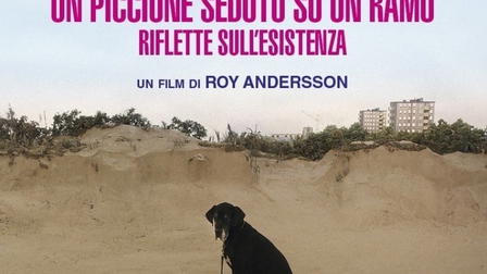 Un piccione seduto su un ramo riflette sull'esistenza