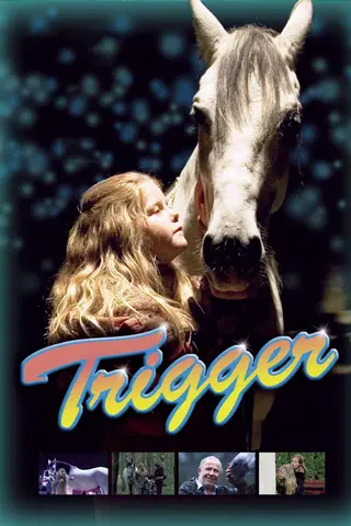 Trigger
