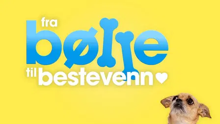 Fra bølle til bestevenn