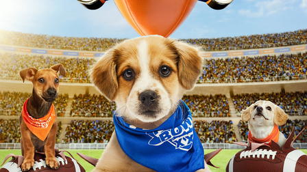 Puppy Bowl
