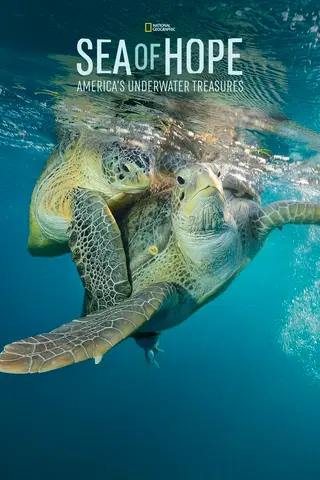 Sea of Hope: America's Underwater Treasures