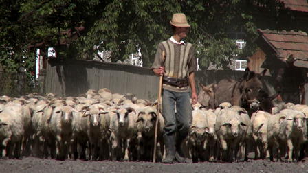 Off The Beaten Track