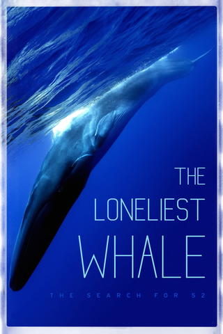 The Loneliest Whale