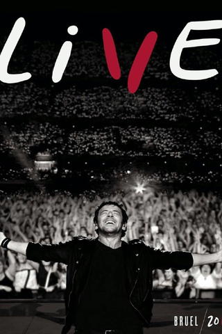 Patrick Bruel: Live 2014