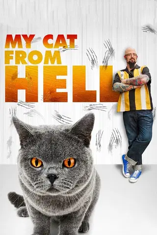 El encantador de gatos