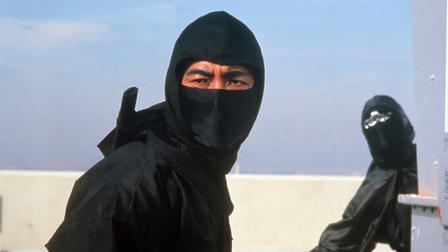 Die Rückkehr der Ninja