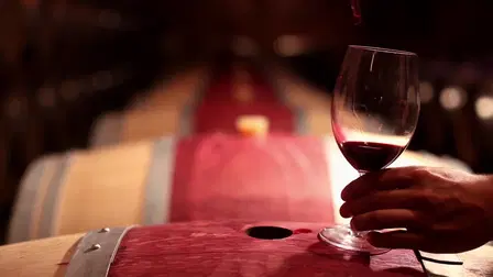 School for Sommelier