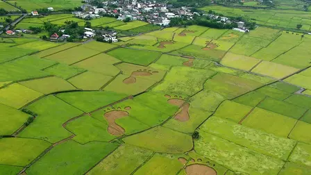 Beyond Beauty: Taiwan from Above