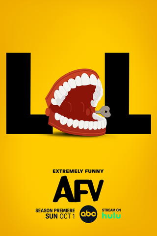 America's Funniest Home Videos