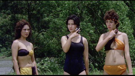 The Challenge of the Lady Ninja