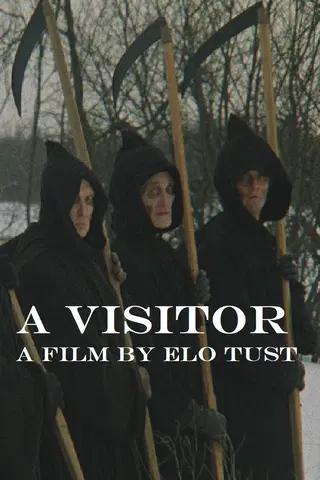 A Visitor