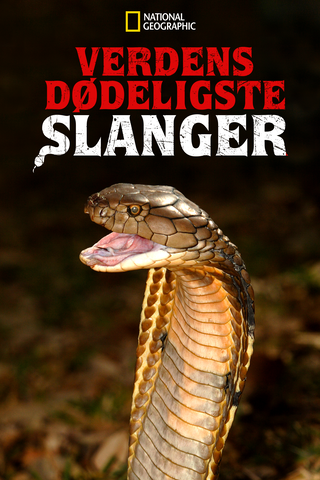 Verdens dødeligste slanger