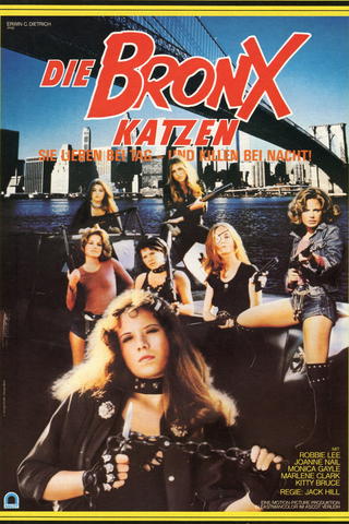 Die Bronx-Katzen