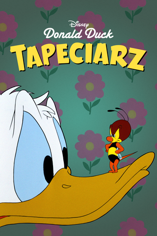 Tapeciarz