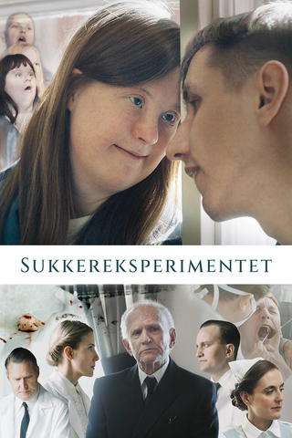 Sukkereksperimentet