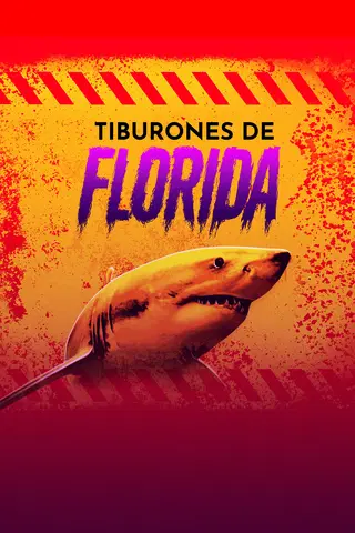 Tiburones de Florida