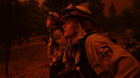 Fireline