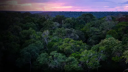 The Future of Nature