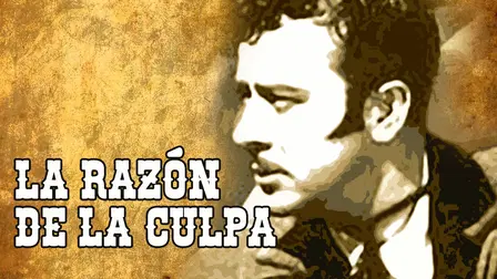 La razón de la culpa