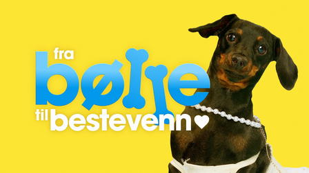 Fra bølle til bestevenn