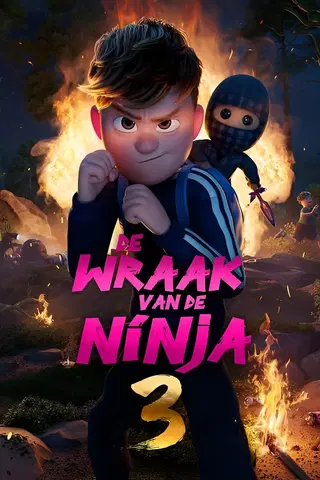 De Wraak van de Ninja 3