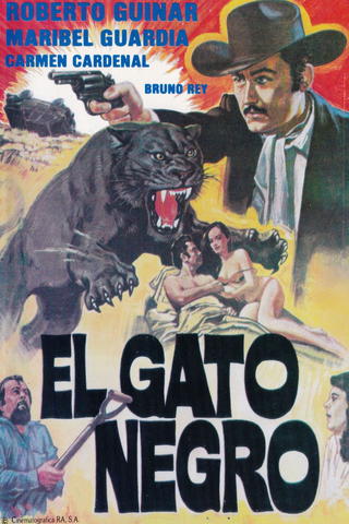 The Black Cat