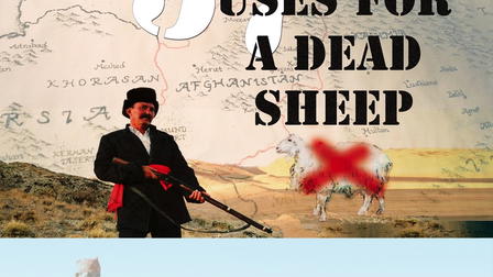 37 Uses for a Dead Sheep