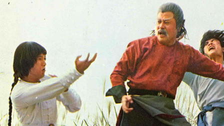 Invincible Kung Fu