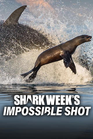 Shark Week's Impossible Shot