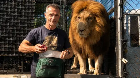 The Lion Whisperer