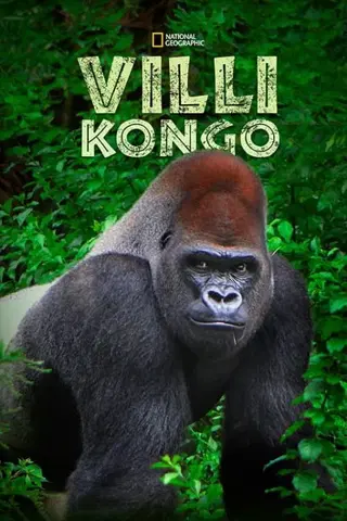 Villi Kongo