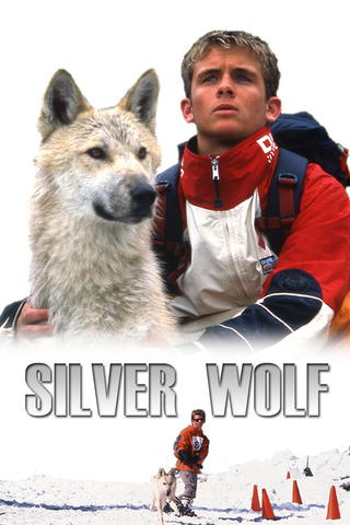 Silver Wolf - Eisige Jagd