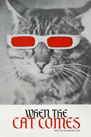 Wenn der Kater kommt