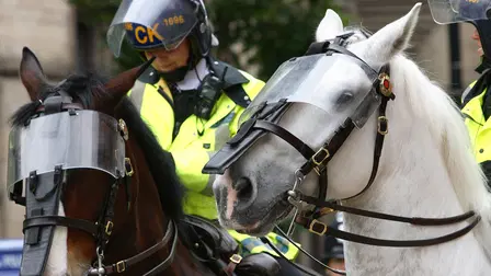 Mounted Branch