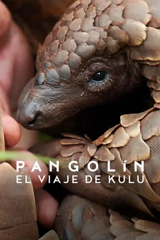 Pangolín: El viaje de Kulu