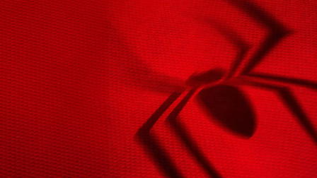 Homem-Aranha: Um Novo Dia