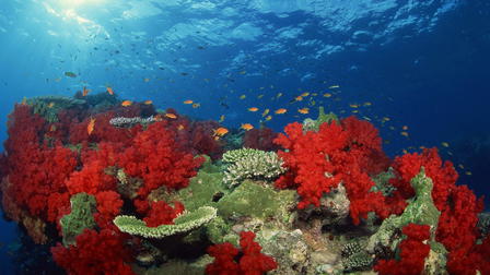 Oceanografía: Explorando el último desierto de la Tierra