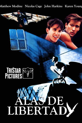 Alas De Libertad