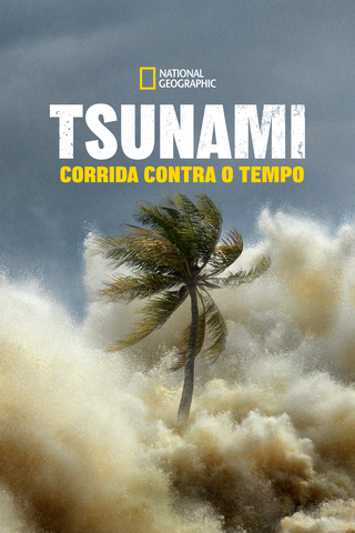 Tsunami: Corrida contra o tempo